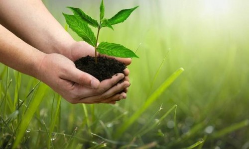 以5个节能环保项目谈石家庄的绿色经济丨