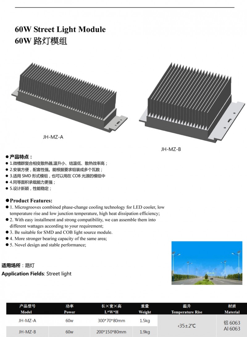 ldmzcp-1