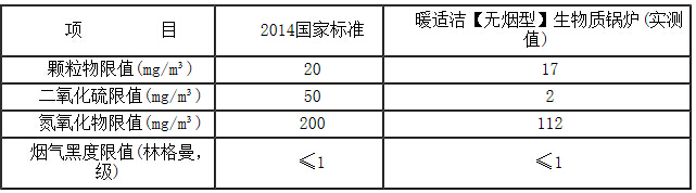 暖适洁【无烟型】生物质锅炉烟气检测表