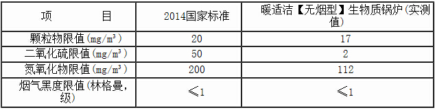 暖适洁【无烟型】生物质锅炉烟气检测表1