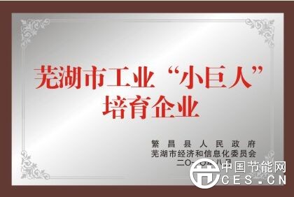 芜湖市工业”小巨人“培育企业