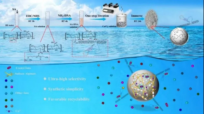 新突破！中科院开发出生物基新型超高选择性海水提铀材料