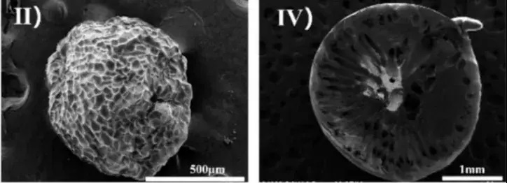 新突破！中科院开发出生物基新型超高选择性海水提铀材料