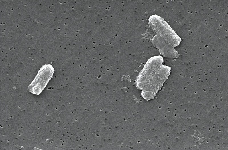 新突破！中科院开发出生物基新型超高选择性海水提铀材料