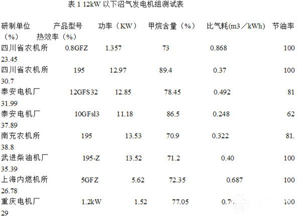 12Kw以下沼气发电机组测试表