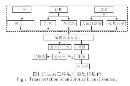 抗生素在城市污水处理系统中的分布及去除