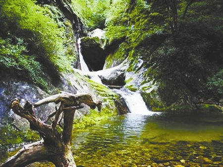 环境整治后的九龙潭景区