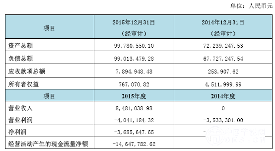 湖北东江的财务及资产指标