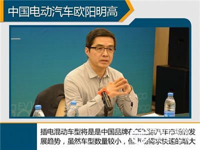 比亚迪欲“双条腿”走路 新能源成重点