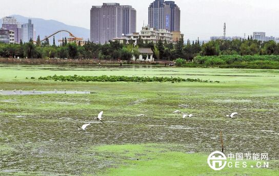 云南“十三五”规划建议解读之六 绿色发展添动力