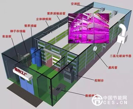 LED照明与植物工厂的那些事